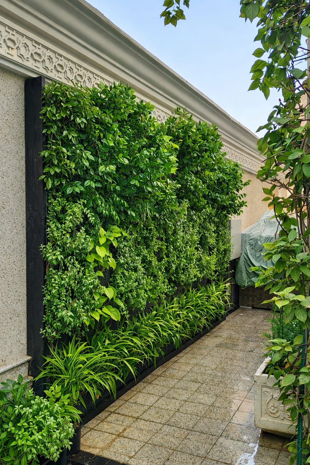 جدار أخضر حي