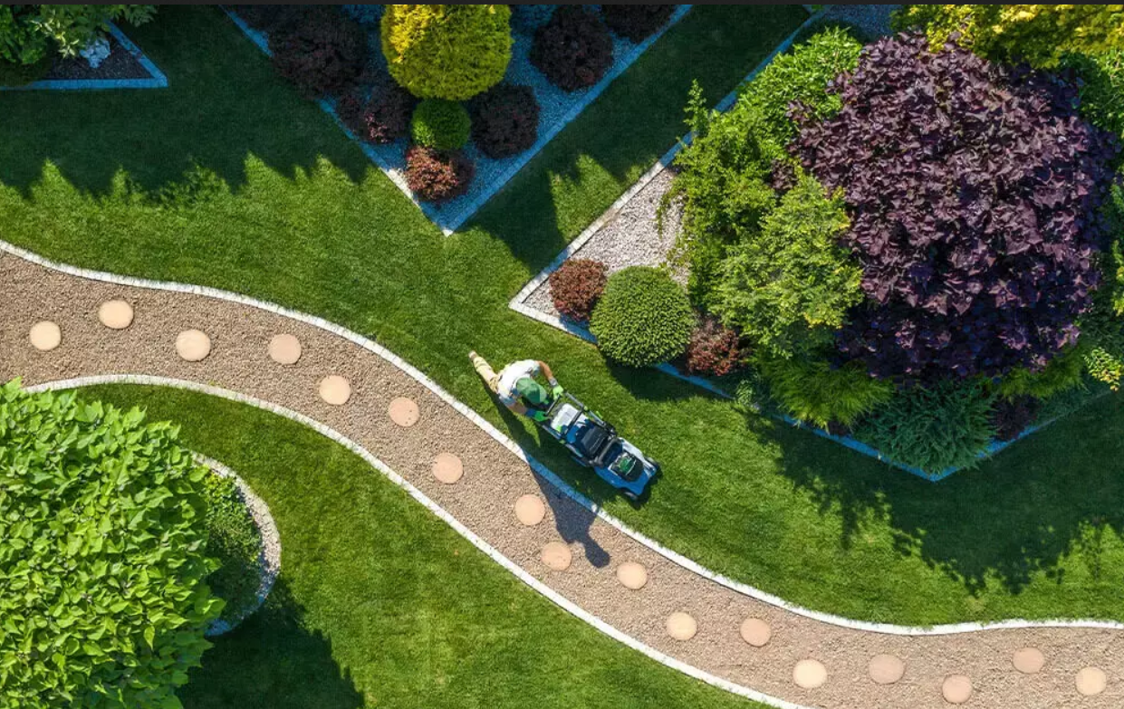 كيفية اختيار أفضل شركة تنسيق حدائق في المملكة العربية السعودية