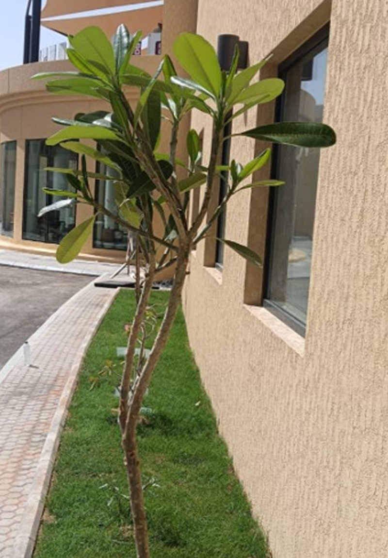 image-105.png