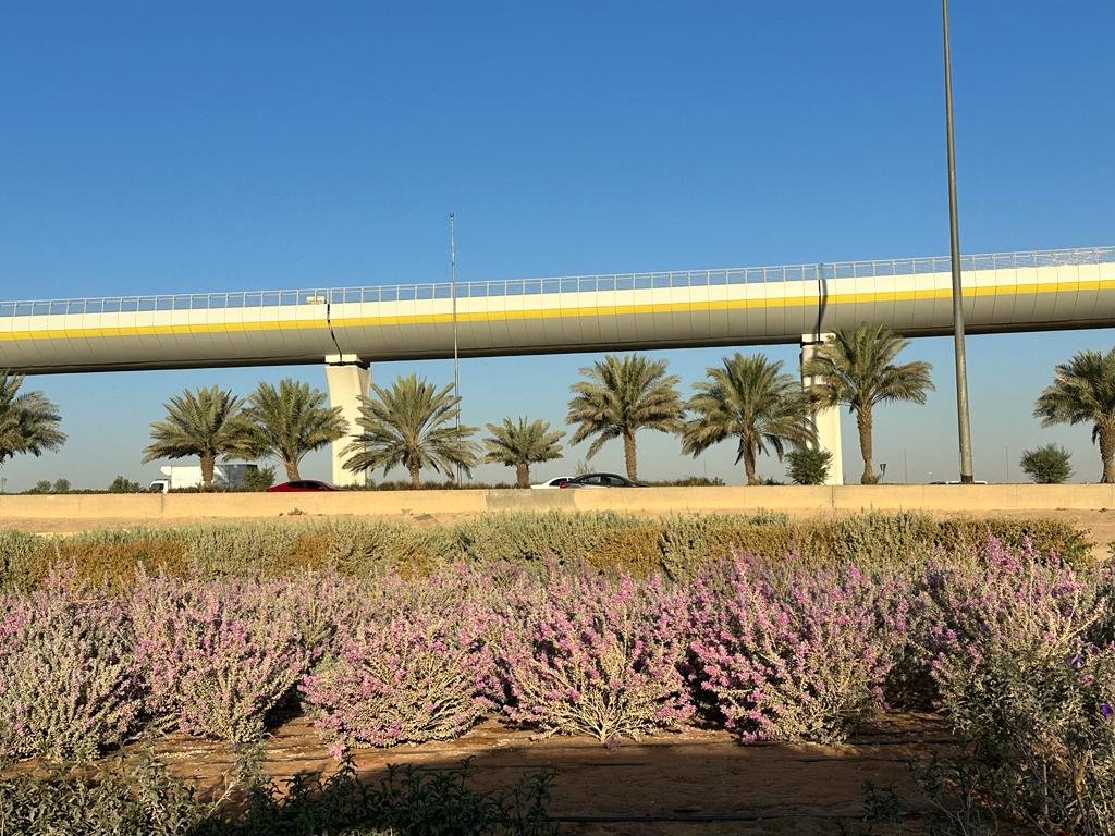 Maintenance Riyadh Green Project