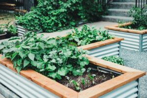 What is Eco-Friendly Gardening and Why is it so Important?