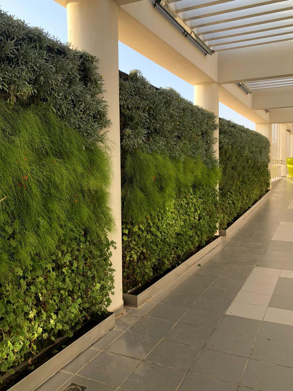 Green Wall