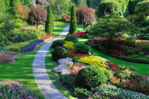 Using Color in Landscaping