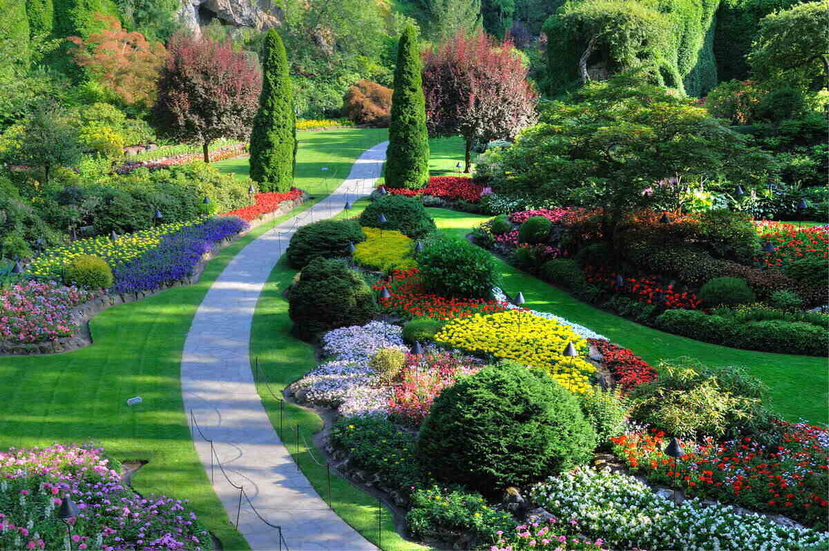 Using Color in Landscaping
