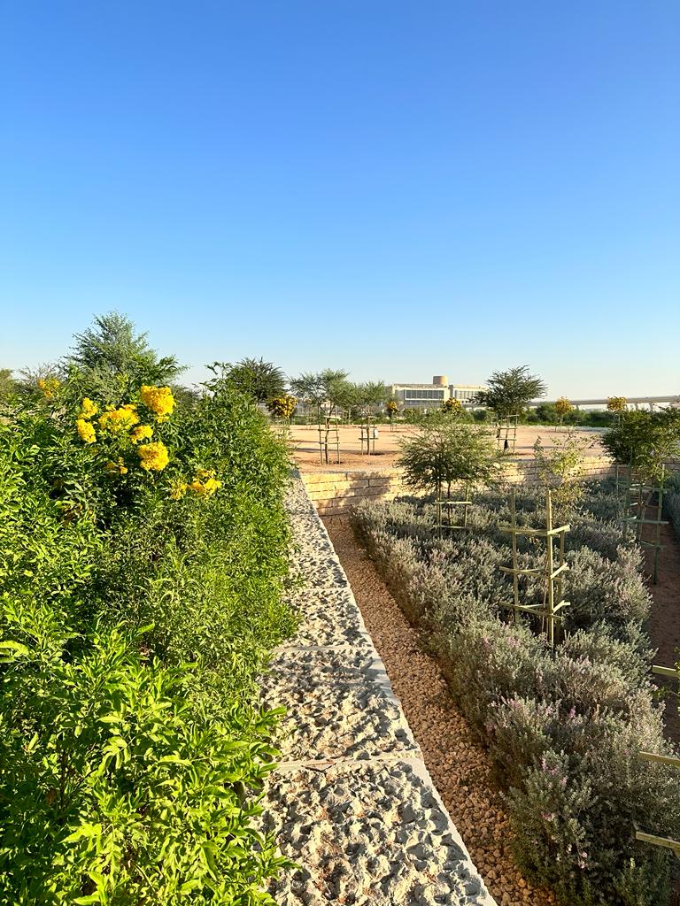 Softscape Landscaping in Riyadh