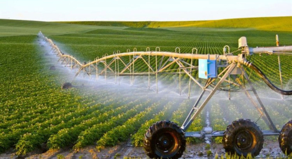 The Role of Technology in Riyadh's Irrigation Landscape