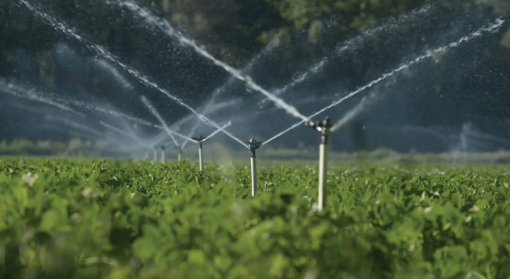 The Role of Experts in Effective Irrigation Solutions