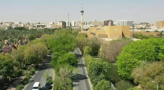 How Can a Landscape Company Enhance Your Riyadh Property?