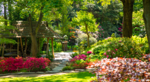 How to Design a Beautiful Landscape Garden