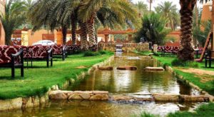 The Impact of Landscaping on Saudi Arabian Communities
