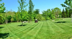 Why Hire a Professional Landscaping Company in Saudi Arabia?