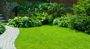 Does Landscaping A Garden Add Value?