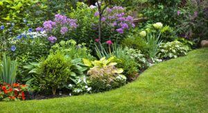 How to Design a Backyard Landscape Plan?