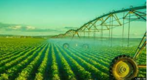 The Future of Irrigation Technology in Riyadh