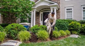 What Do You Look For in a Landscaping Company?