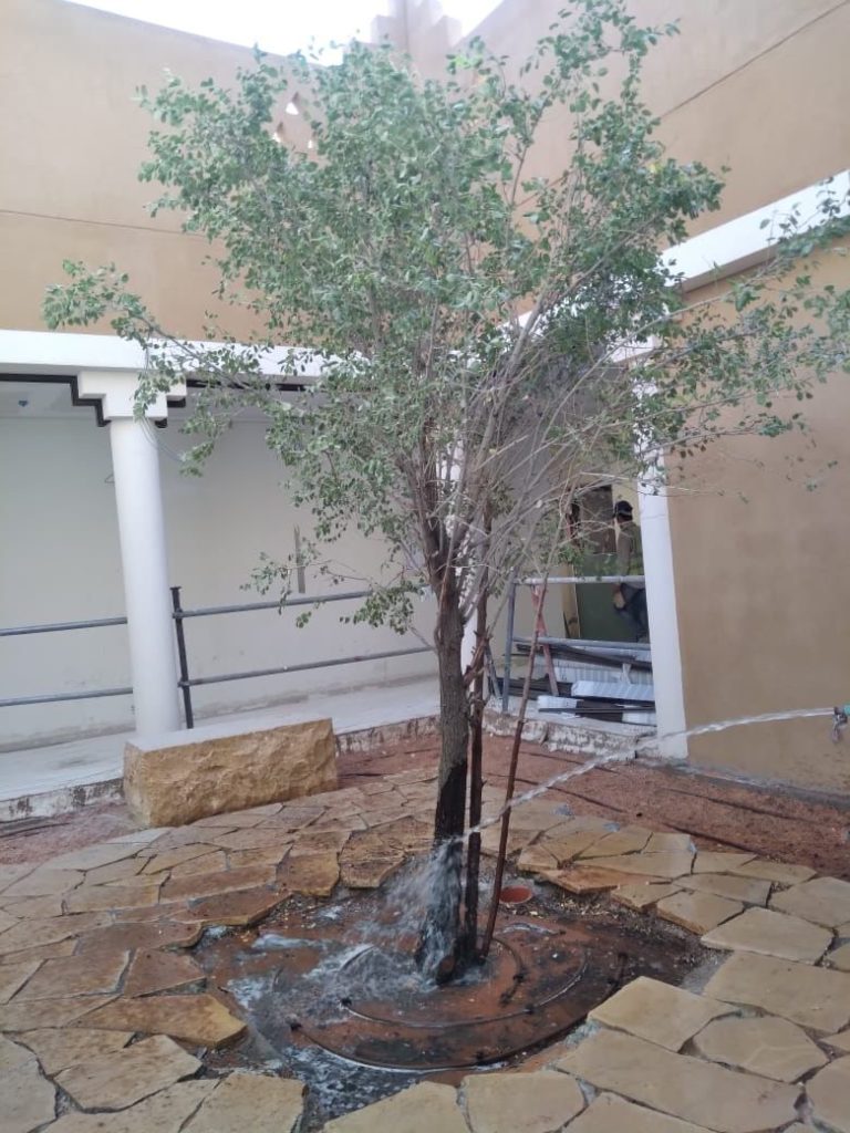 Supply and install softscape and irrigation system at wadi safar in Riyadh