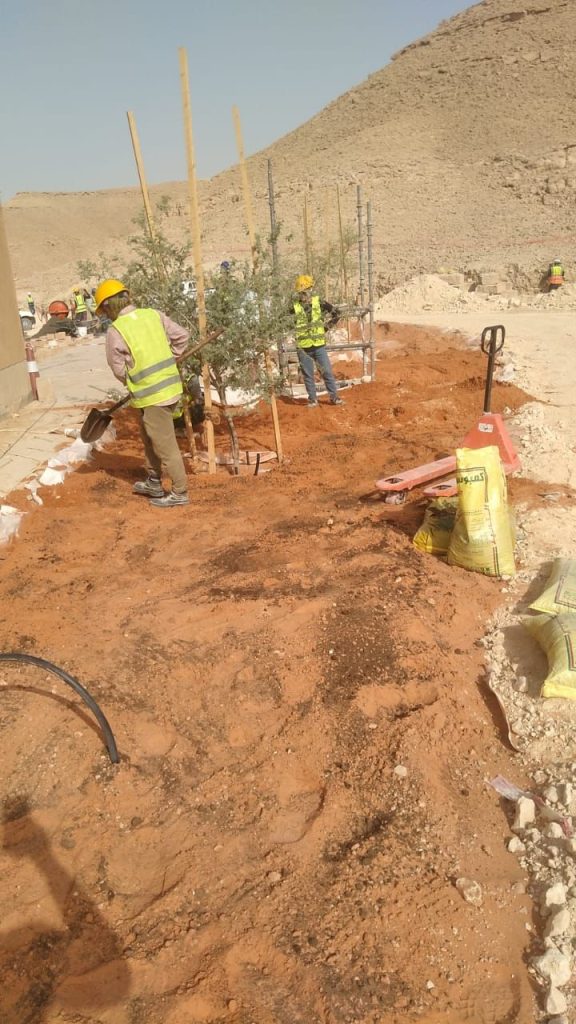 Supply and install softscape and irrigation system at wadi safar in Riyadh