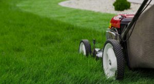Why Invest in Professional Landscaping Services in Saudi Arabia