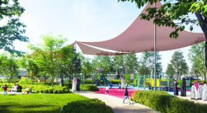 Elevate Your Garden with Professional Tree Transplanting Services in Riyadh