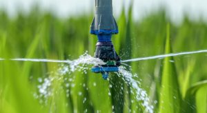 How is the Commercial Irrigation System Beneficial in Landscaping?