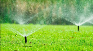 The Importance of Proper Irrigation in Maintaining a Healthy Landscape Garden