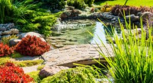 What Are The Worst Mistakes in Landscaping You Can Avoid