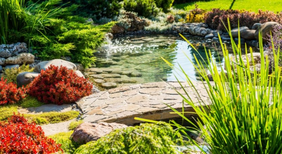 What Are The Worst Mistakes in Landscaping You Can Avoid