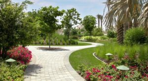 How to Maintain Softscape Landscaping in Saudi Arabia
