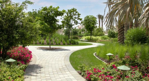 How to Maintain Softscape Landscaping in Saudi Arabia