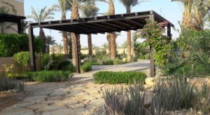 Key Considerations for Softscape Landscaping Installation in Saudi Arabia