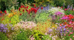 Expert Tips for Working with a Nursery Landscape Company in Riyadh