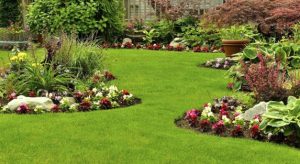 How Nursery Landscape Companies in Saudi Arabia Are Shaping Sustainable Gardens