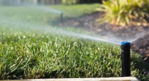 Top Trends in Irrigation Installation for Saudi Arabian Landscapes