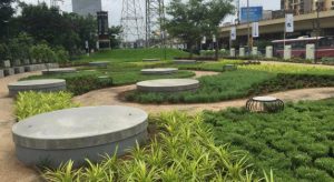 How to Keep Your Softscape Green and Healthy in the Saudi Summer