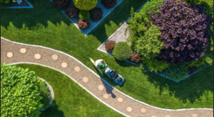 How to Maintain a Landscape in the Harsh Saudi Climate