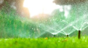 Top Mistakes Homeowners Make with Irrigation Systems