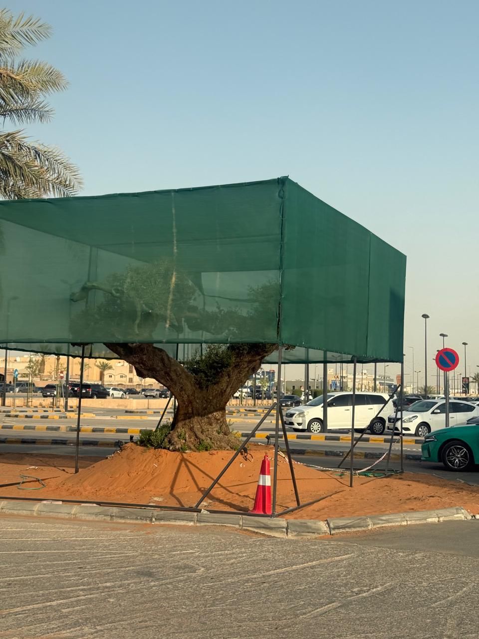 Riyadh Green