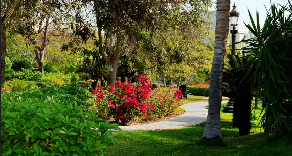 How Technology is Changing Landscape Contracting in Saudi Arabia