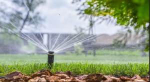 How Climate in Riyadh Affects Your Irrigation Needs