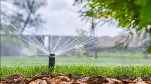 How an Irrigation Company in Saudi Arabia Helps Save Water & Reduce Costs