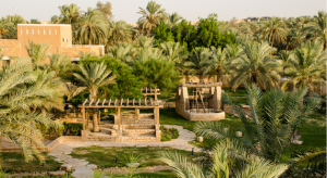 Trends in the Saudi Landscaping Industry Featuring Washingtonia Trees