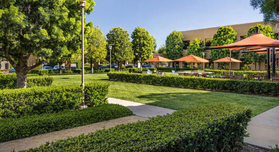 How Landscaping Enhances Corporate and Business Parks