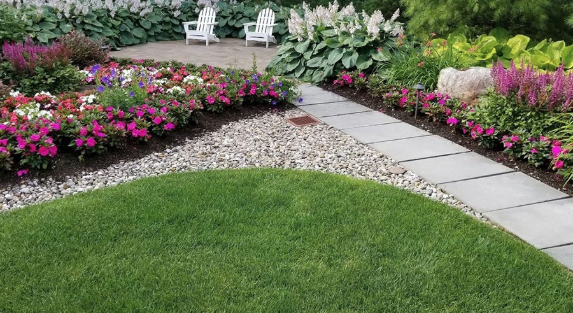 The Role of Native Plants in Sustainable Landscaping