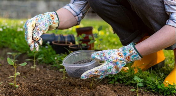 The Role of Soil Preparation in Successful Softscape Landscaping