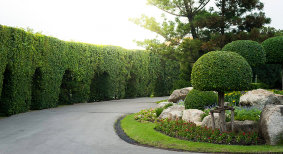 Benefits of Landscaping for Commercial Properties in Saudi Arabia