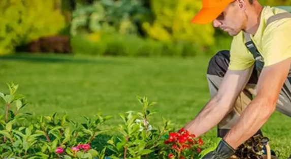 The Growing Demand for Landscaping Services in Saudi Arabia