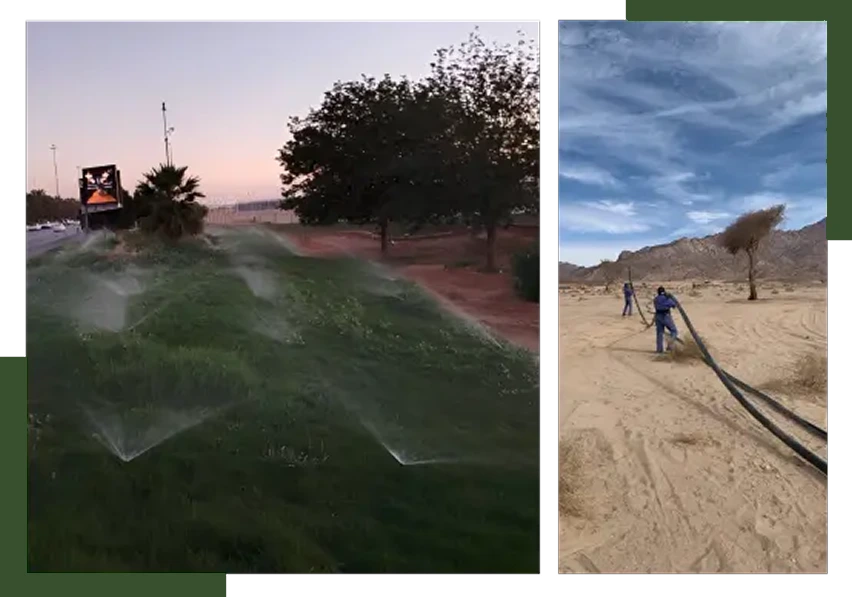 Irrigation