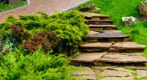 Importance of landscaping in Saudi Arabia’s desert climate