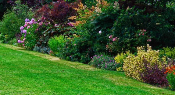 Softscape Maintenance Tips for Saudi Arabia Weather Conditions