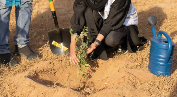 How Tree Transplanting Supports Saudi Arabia’s Green Initiatives